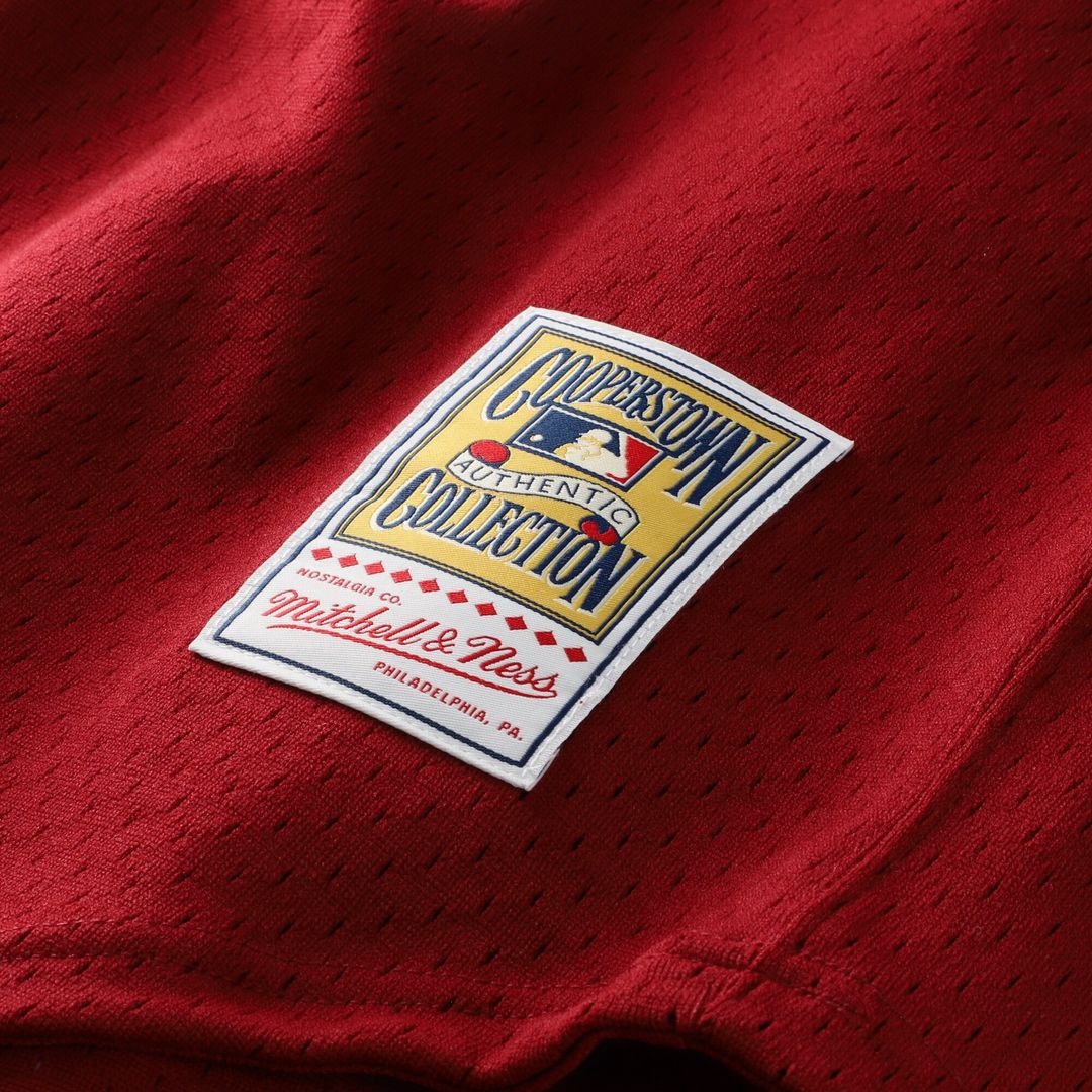 Philadelphia Phillies Darren Daulton Mitchell & Ness Authentic Batting Practice Jersey - Scarlet MLB Team Jersey Baseball Fan Apparel