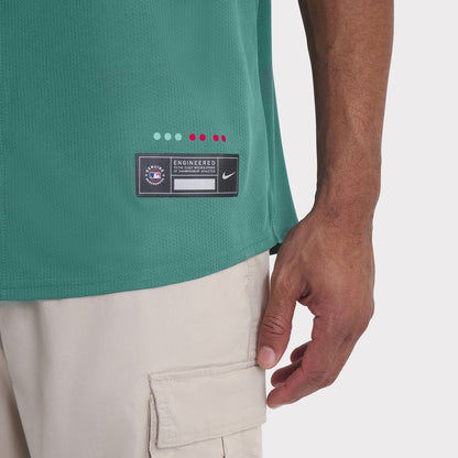 Boston Red Sox David Ortiz Nike 2025 City Connect Limited Retired Player Jersey - Green MLB Team Jersey Baseball Fan Apparel