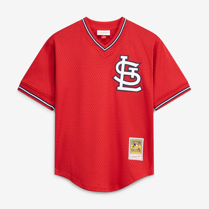 St. Louis Cardinals Ozzie Smith Mitchell & Ness Authentic Batting Practice Jersey - Navy MLB Team Jersey Baseball Fan Apparel