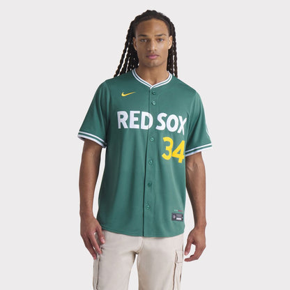 Boston Red Sox David Ortiz Nike 2025 City Connect Limited Retired Player Jersey - Green MLB Team Jersey Baseball Fan Apparel