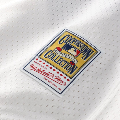 Chicago White Sox Carlton Fisk Mitchell & Ness Authentic Batting Practice Jersey - Navy MLB Team Jersey Baseball Fan Apparel