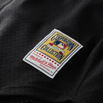 Arizona Diamondbacks Randy Johnson Mitchell & Ness Big & Tall Cooperstown Mesh Batting Practice Jersey - Black MLB Team Jersey Baseball Fan Apparel