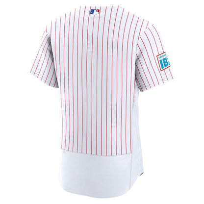 Philadelphia Phillies Nike Alternate Authentic Jersey - Light Blue MLB Team Jersey Baseball Fan Apparel