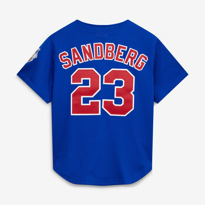 Chicago Cubs Ryne Sandberg Mitchell & Ness Cooperstown 1997 Mesh Batting Practice Button - Up Jersey - Royal MLB Team Jersey Baseball Fan Apparel
