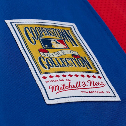 Texas Rangers Adrian Beltre Mitchell & Ness Cooperstown Mesh Batting Practice Button - Up Jersey - Royal MLB Team Jersey Baseball Fan Apparel