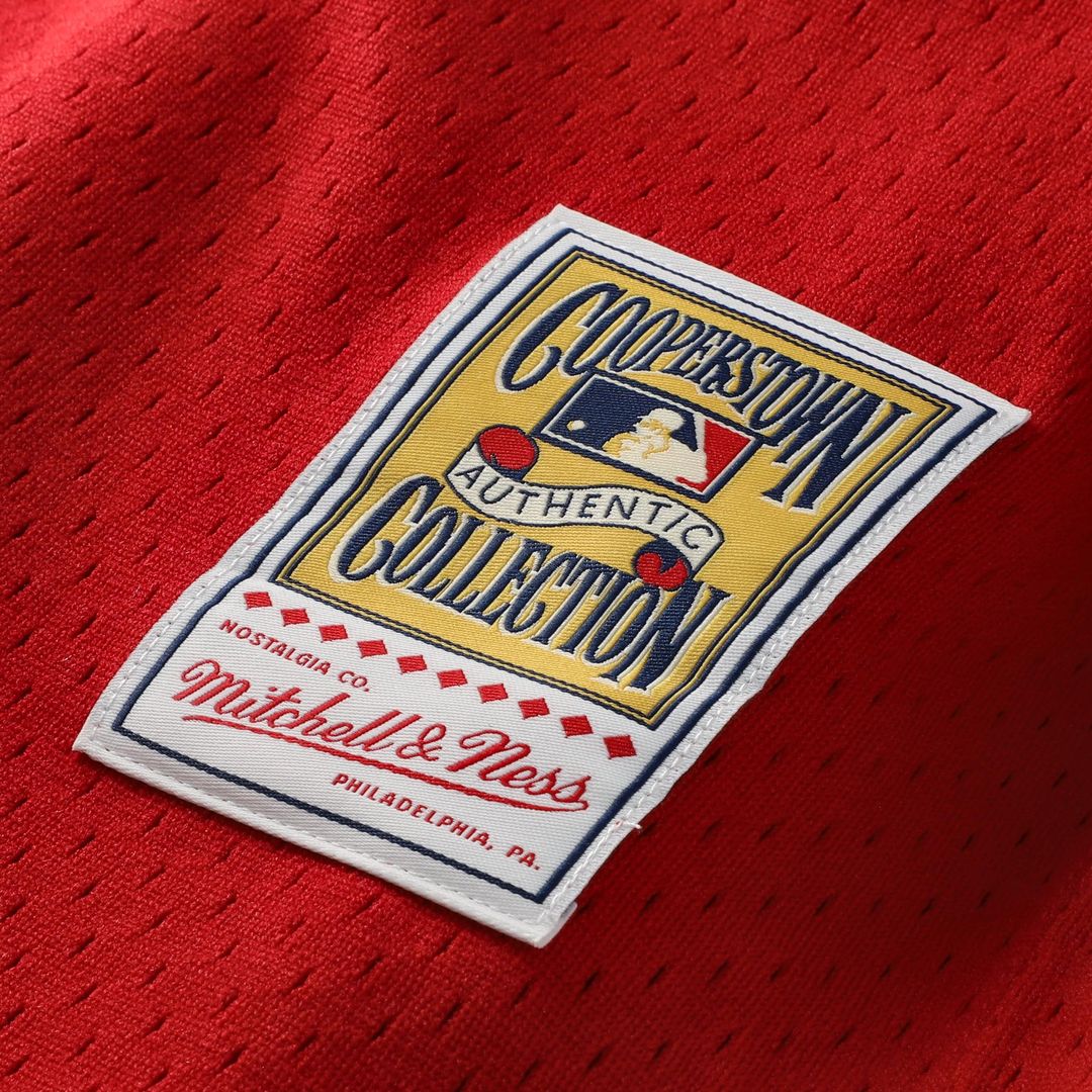Cincinnati Reds Johnny Bench Mitchell & Ness Authentic Batting Practice Jersey - Scarlet MLB Team Jersey Baseball Fan Apparel