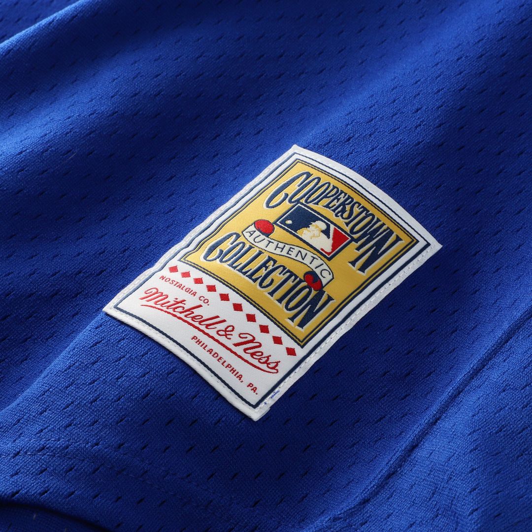 Atlanta Braves Dale Murphy Mitchell & Ness Authentic Batting Practice Jersey - Royal MLB Team Jersey Baseball Fan Apparel