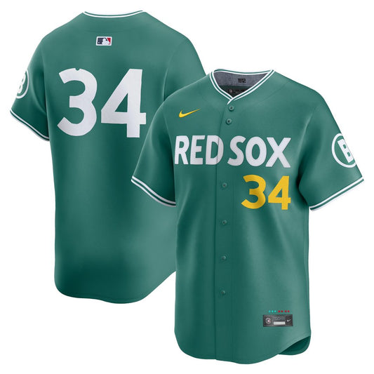 Boston Red Sox David Ortiz Nike 2025 City Connect Limited Retired Player Jersey - Green MLB Team Jersey Baseball Fan Apparel