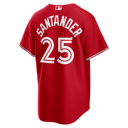 Toronto Blue Jays Anthony Santander Nike Road Replica Jersey - Gray MLB Team Jersey Baseball Fan Apparel