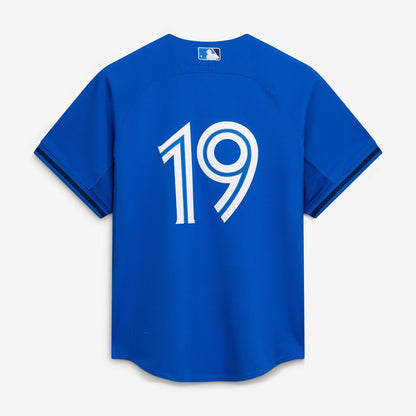 Toronto Blue Jays Jose Bautista Mitchell & Ness Authentic Batting Practice Jersey - Blue MLB Team Jersey Baseball Fan Apparel