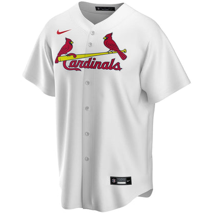St. Louis Cardinals Nike Alternate Replica Custom Jersey - Light Blue MLB Team Jersey Baseball Fan Apparel
