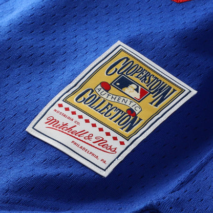 Los Angeles Dodgers Hideo Nomo Mitchell & Ness Big & Tall Cooperstown Mesh Batting Practice Jersey - Royal MLB Team Jersey Baseball Fan Apparel