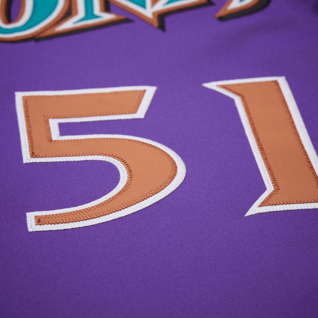 Arizona Diamondbacks Randy Johnson Mitchell & Ness 2000 Throwback Authentic Jersey - Purple MLB Team Jersey Baseball Fan Apparel