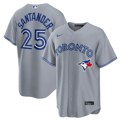 Toronto Blue Jays Anthony Santander Nike Alternate Replica Jersey - Light Blue MLB Team Jersey Baseball Fan Apparel
