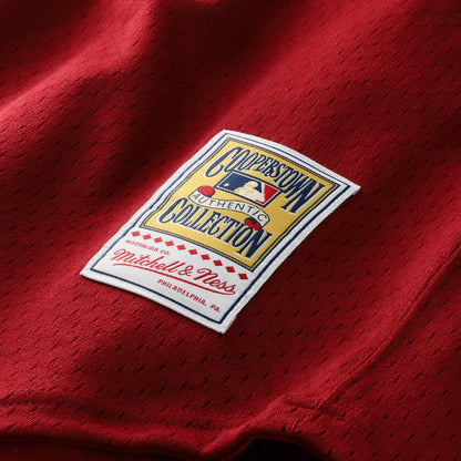 Philadelphia Phillies Darren Daulton Mitchell & Ness Authentic Batting Practice Jersey - Scarlet MLB Team Jersey Baseball Fan Apparel